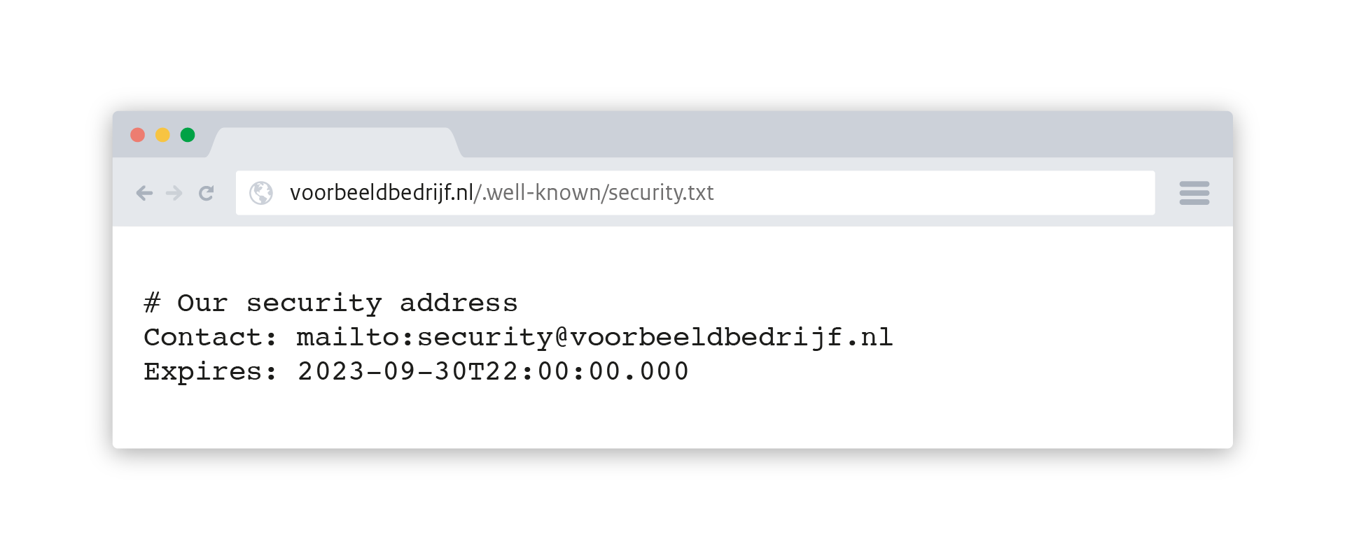 voorbeeld security.txt-bestand