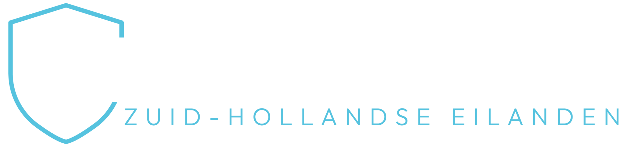 Logo CybernetwerkZHE