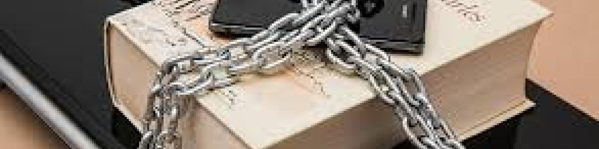 afbeelding bij Cybernetwerk Zuid Hollandse Eilanden